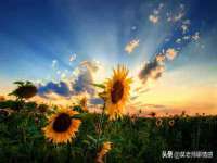 上海运博鹏网络技术有限公司