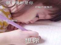 上海运博鹏网络技术有限公司
