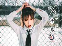 上海运博鹏网络技术有限公司