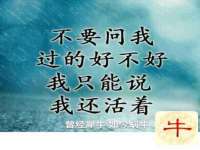 上海运博鹏网络技术有限公司