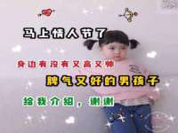 上海运博鹏网络技术有限公司