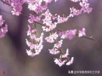 上海运博鹏网络技术有限公司