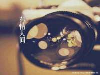 上海运博鹏网络技术有限公司