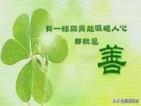 上海运博鹏网络技术有限公司