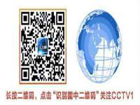 上海运博鹏网络技术有限公司