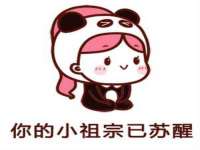 上海运博鹏网络技术有限公司