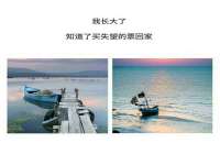 上海运博鹏网络技术有限公司