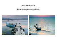 上海运博鹏网络技术有限公司