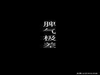 上海运博鹏网络技术有限公司