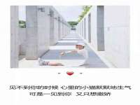 上海运博鹏网络技术有限公司