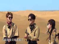 上海运博鹏网络技术有限公司