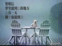 上海运博鹏网络技术有限公司