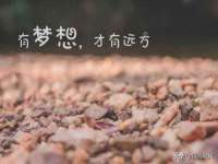 上海运博鹏网络技术有限公司