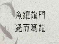 上海运博鹏网络技术有限公司