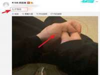 上海运博鹏网络技术有限公司