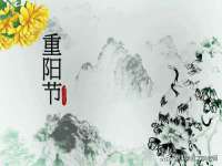 上海运博鹏网络技术有限公司