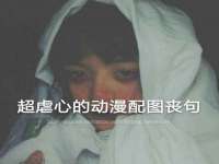 上海运博鹏网络技术有限公司