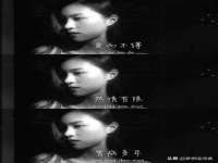 上海运博鹏网络技术有限公司