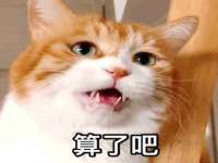 上海运博鹏网络技术有限公司