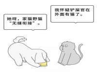 上海运博鹏网络技术有限公司