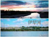 上海运博鹏网络技术有限公司