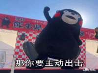 上海运博鹏网络技术有限公司