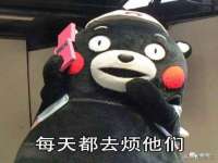 上海运博鹏网络技术有限公司