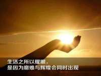 上海运博鹏网络技术有限公司