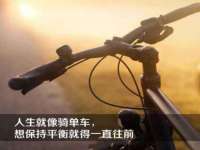 上海运博鹏网络技术有限公司