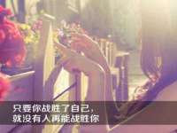上海运博鹏网络技术有限公司