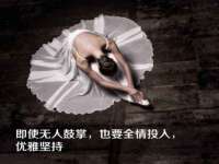 上海运博鹏网络技术有限公司