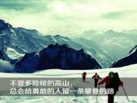 上海运博鹏网络技术有限公司