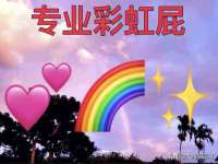 上海运博鹏网络技术有限公司