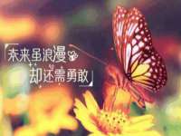 上海运博鹏网络技术有限公司