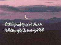 上海运博鹏网络技术有限公司