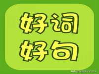 上海运博鹏网络技术有限公司