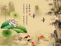 上海运博鹏网络技术有限公司