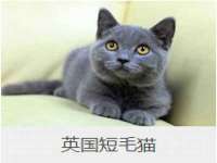 上海运博鹏网络技术有限公司