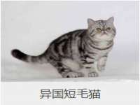 上海运博鹏网络技术有限公司