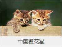 上海运博鹏网络技术有限公司