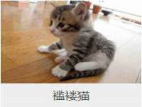 上海运博鹏网络技术有限公司