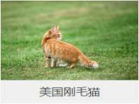 上海运博鹏网络技术有限公司