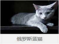上海运博鹏网络技术有限公司