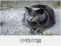 上海运博鹏网络技术有限公司