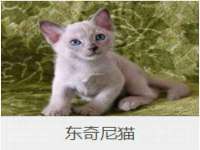 上海运博鹏网络技术有限公司