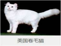 上海运博鹏网络技术有限公司