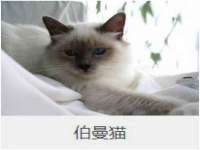 上海运博鹏网络技术有限公司