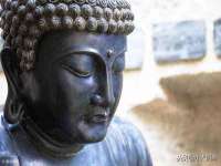上海运博鹏网络技术有限公司