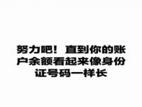 上海运博鹏网络技术有限公司