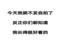 上海运博鹏网络技术有限公司